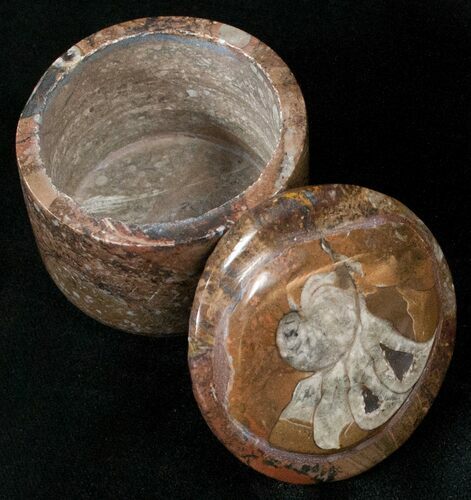 Small Fossil Goniatite Jar (Brown) - Stoneware #18013